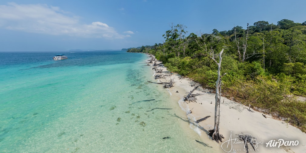 Elephant beach