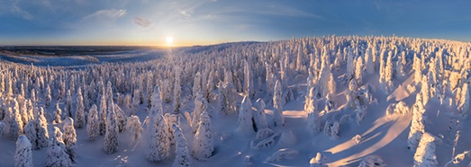 芬兰拉普兰 雪域童话