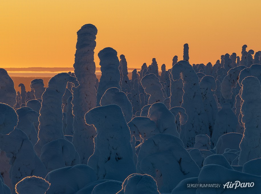 Snowy Fairytale. Lapland, Finland