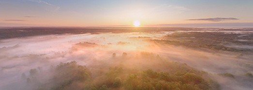 俄罗斯 布莱恩斯克森林 清晨薄雾