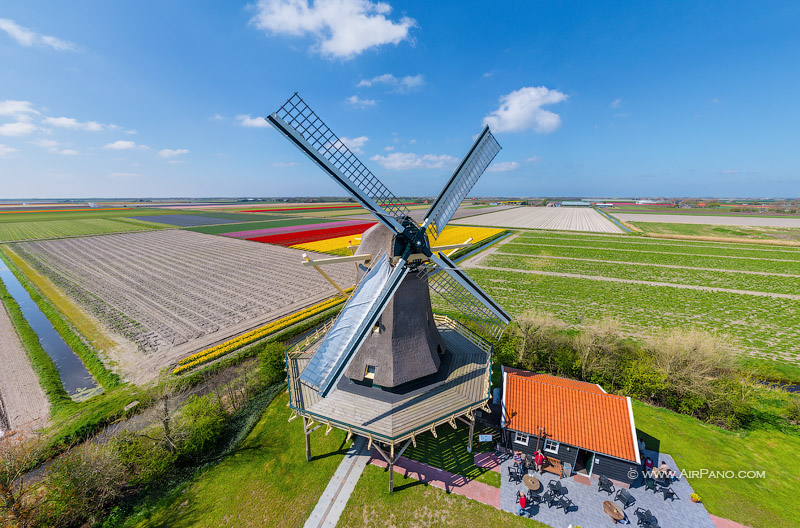 Holland. Windmills