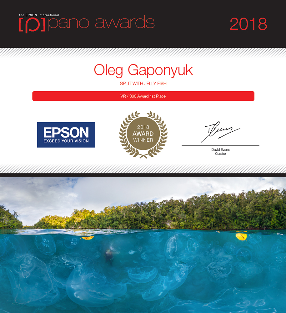 Winner of Epson International Pano Awards 2018