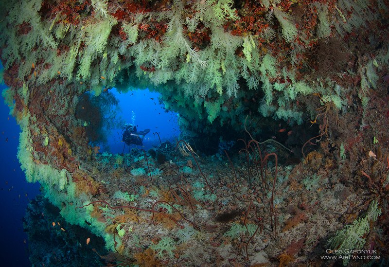 Fotteyo underwater overhangs (Hurahu Kandu)