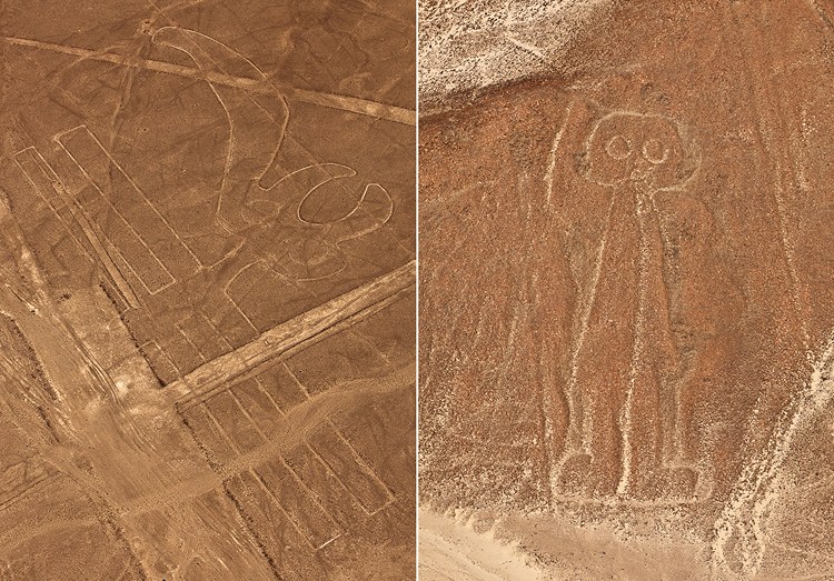 Nazca lines, the Parrot and the Astronaut