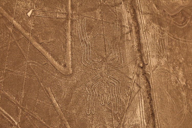 Nazca lines, the Spider