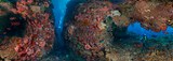 印度尼西亚 科莫多-水下洞穴