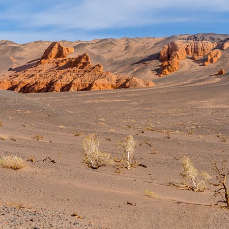 蒙古国 戈壁沙漠