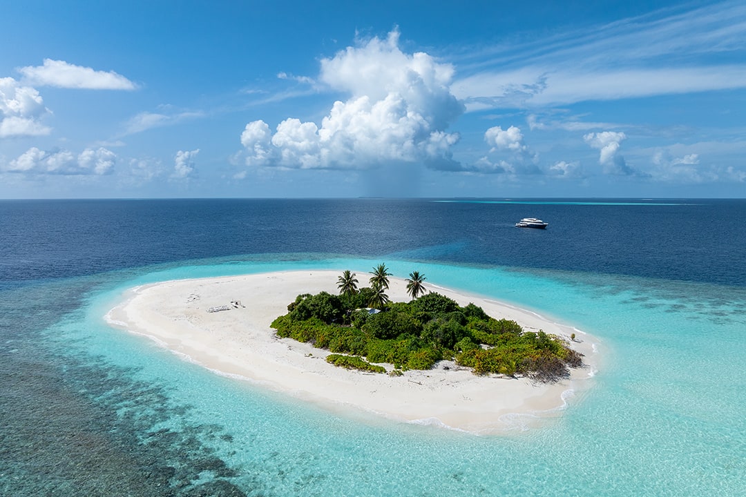 Bird Island. Maldives. VR Relaxation