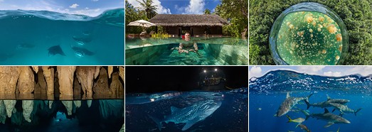 水面交界全景图