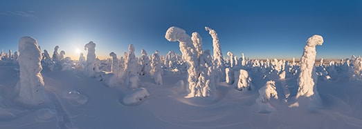 360度虚拟游览 第7期 冬日林海 雪境寻幽