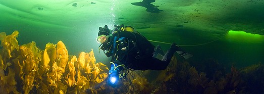 The first "under ice" panorama in the world